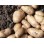Arran Pilot Seed Potatoes (First Early - 1 kg)